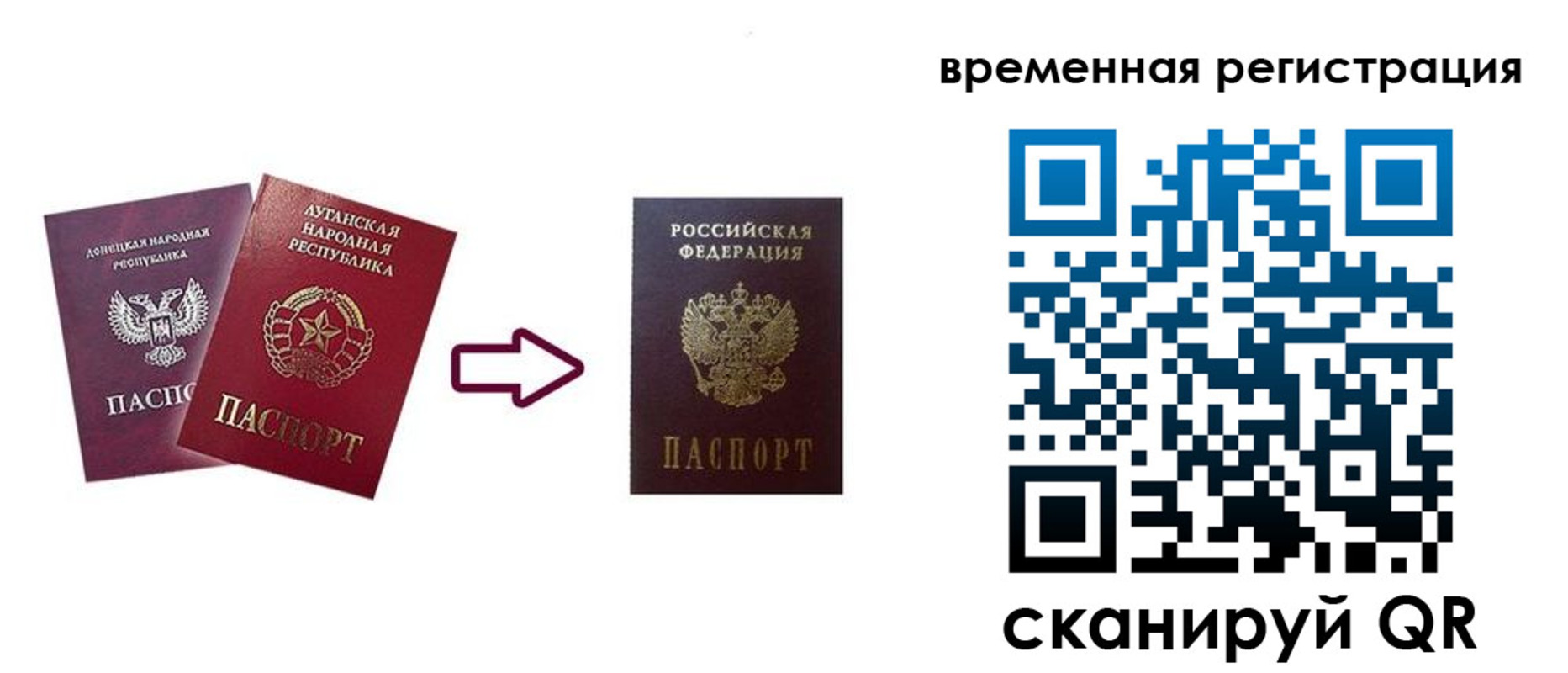 где прописаться в Александрове
